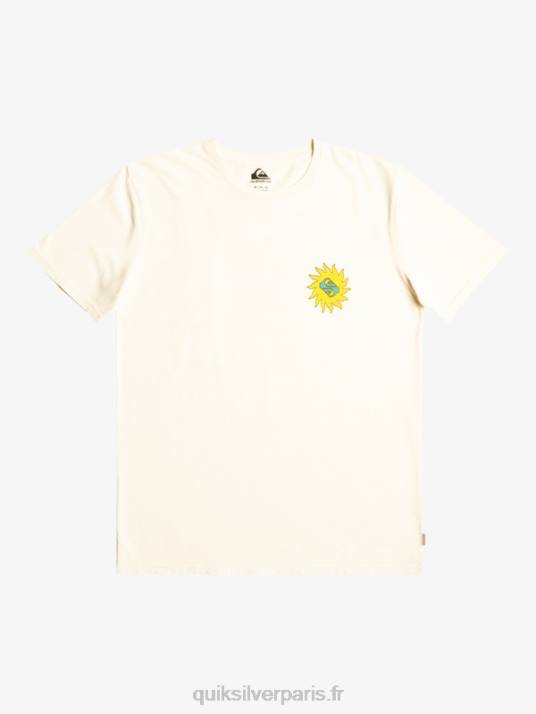 Hommes Quiksilver t-shirt planète positive D6PT1340 bouleau