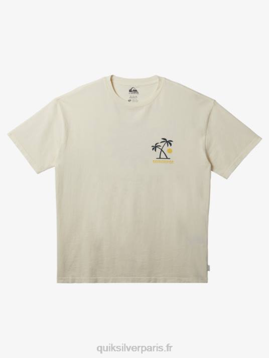 Hommes Quiksilver t-shirt rituels du coucher du soleil D6PT391 bouleau