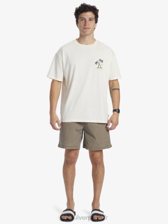 Hommes Quiksilver t-shirt rituels du coucher du soleil D6PT391 bouleau
