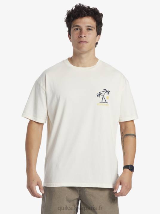 Hommes Quiksilver t-shirt rituels du coucher du soleil D6PT391 bouleau