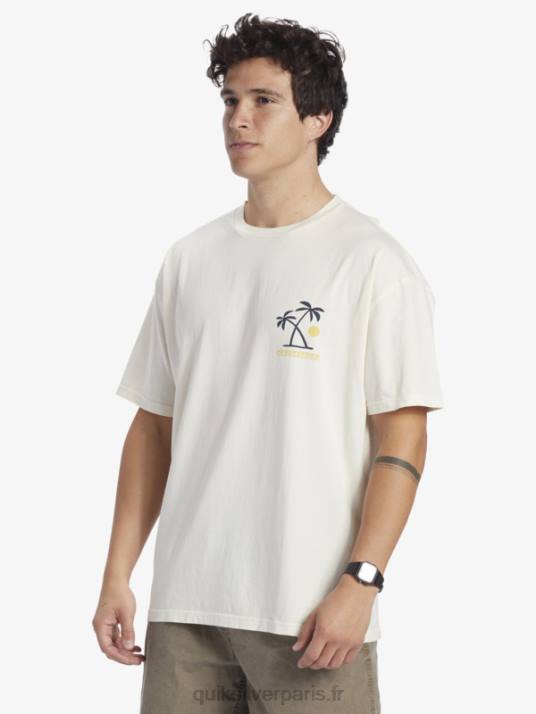 Hommes Quiksilver t-shirt rituels du coucher du soleil D6PT391 bouleau