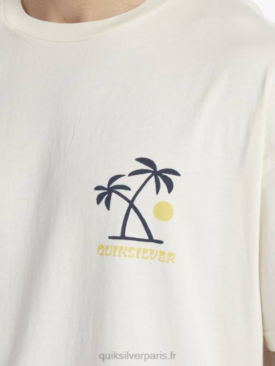Hommes Quiksilver t-shirt rituels du coucher du soleil D6PT391 bouleau