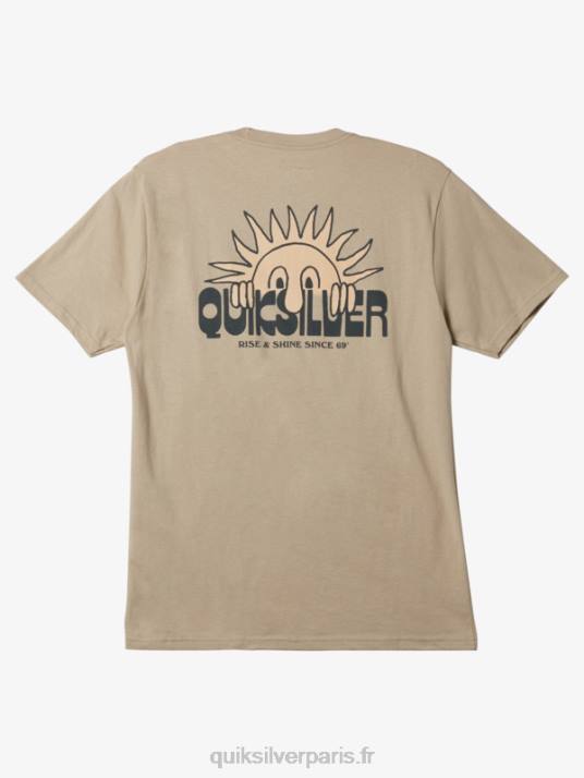 Hommes Quiksilver t-shirt se lever et briller D6PT1116 plaza taupe