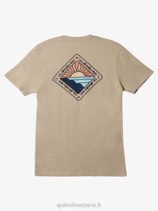 Hommes Quiksilver t-shirt voyage panoramique D6PT1146 plaza taupe