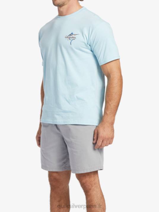 Hommes Quiksilver t-shirt waterman beauté en mer D6PT51 aquatique