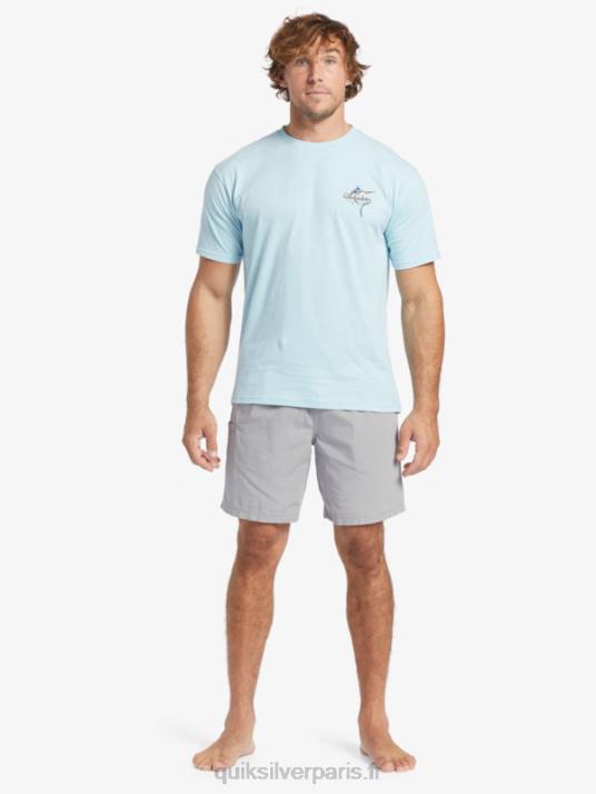 Hommes Quiksilver t-shirt waterman beauté en mer D6PT51 aquatique