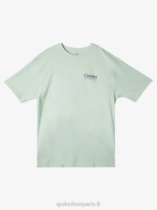 Hommes Quiksilver t-shirt waterman ressac D6PT55 vert subtil