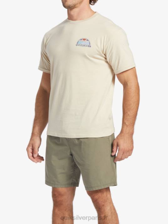 Hommes Quiksilver t-shirt waterman set view D6PT38 riz brun