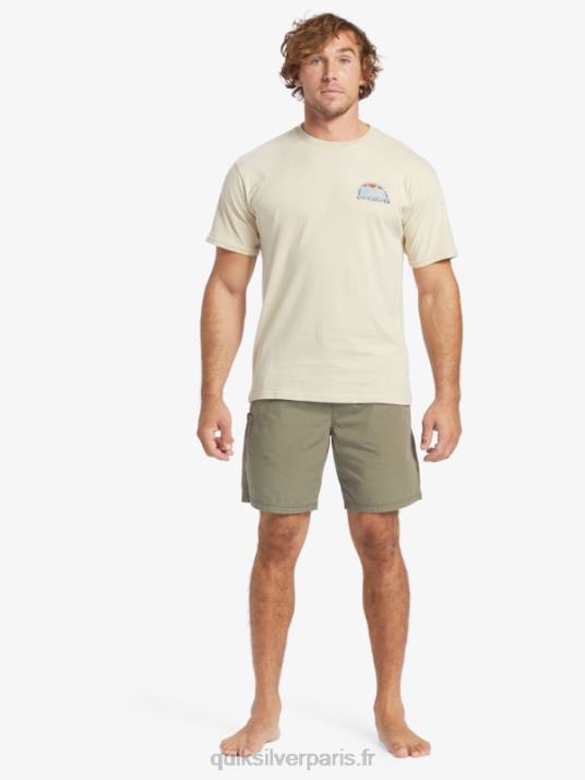Hommes Quiksilver t-shirt waterman set view D6PT38 riz brun