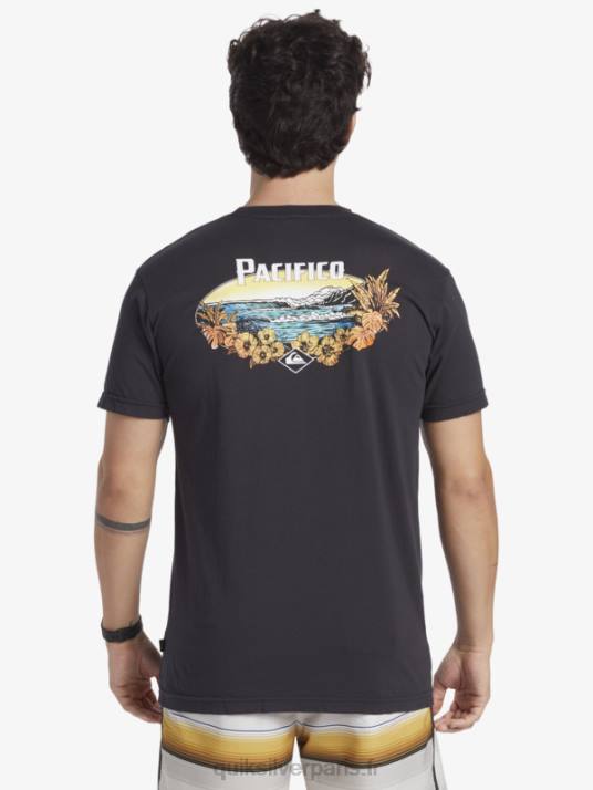 Hommes Quiksilver x Pacifico t-shirt vibes scéniques D6PT10 macadam